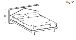 ������� RAY