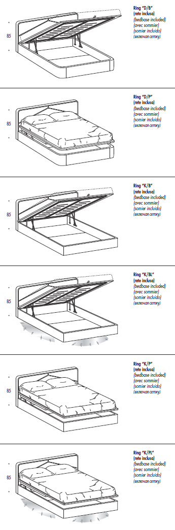 ������� RAY